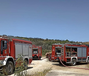 Η αντιπυρική περίοδος λήγει στις 31 Οκτωβρίου 2024 – Δεν  επιτρέπεται η καύση κλαδιών και χόρτων